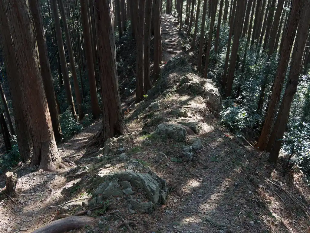 ちょこっと露岩帯。
