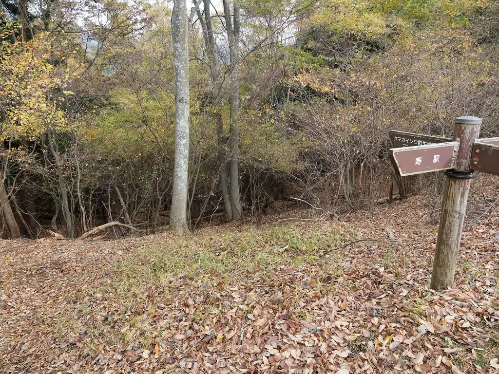 三つ峠駅から倉見山に登るルートもあるのだが、そちらは5月ごろになるとクマガイソウが見頃になるらしい。
道標からして、こっちがクマガイソウ群生地のはず。