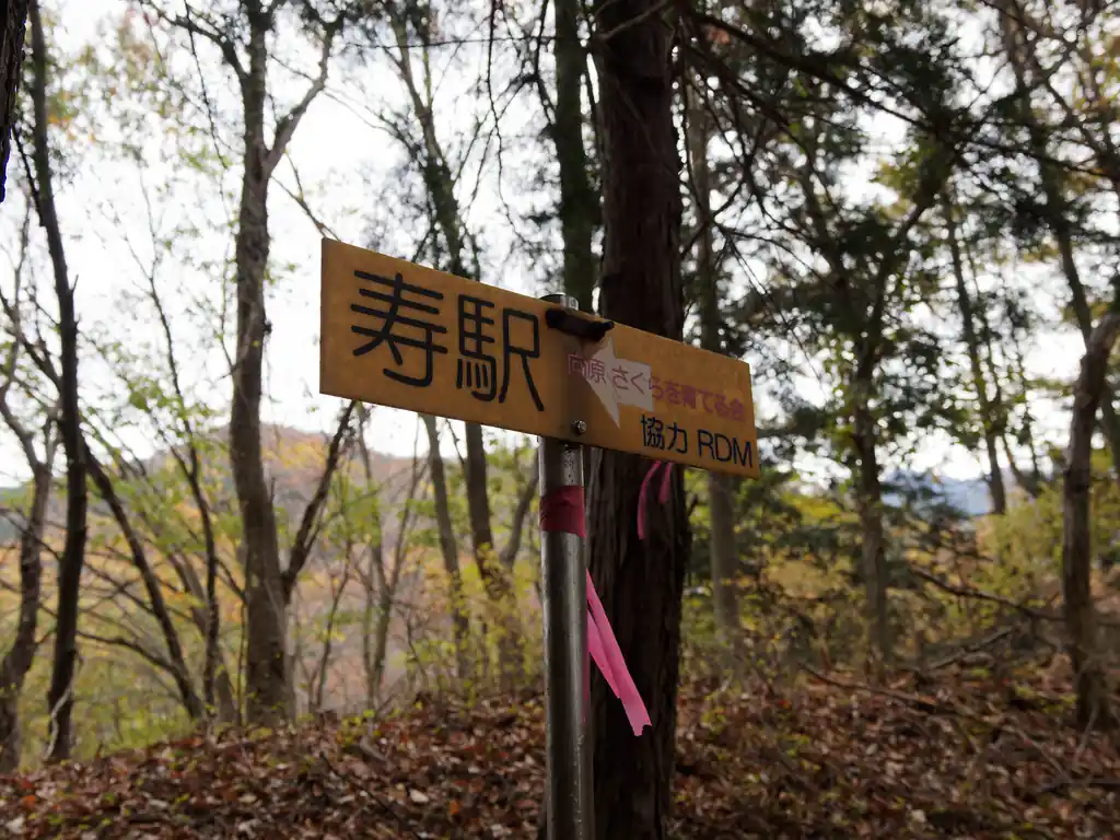 正直、この道は落ち葉が多く登山道は見えないのだが、所々こういう感じの道標があって迷うことはないと思う。
これ設置しているのは地元の山岳会なのかな？