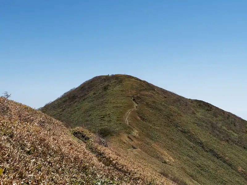 もうちょっとで山頂…！はやる気持ちを抑えつつ着実に進む。