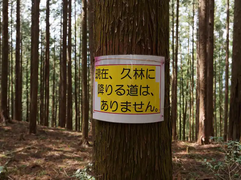 ここで重大ニュース、久林に下山できる道はなくなっているらしい。
国土地理院地図だと、確かに久林方面へ続く道が書かれているが、現在は存在しないらしい。