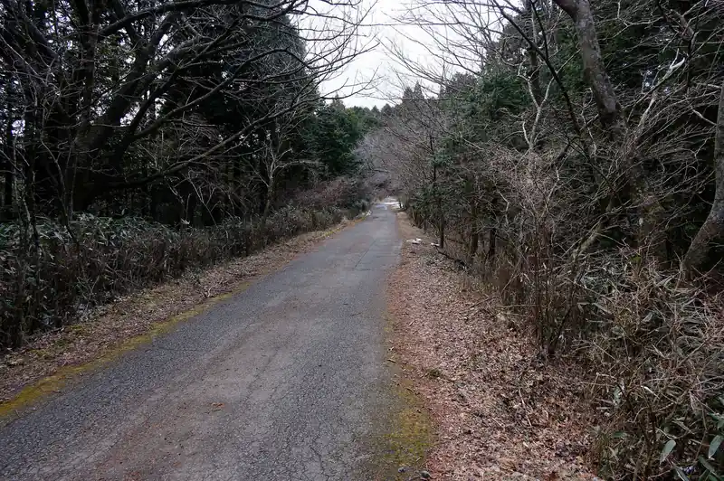 そのままずっと林道歩き。途中、車が反対方向から2台ほど走ってきた。
