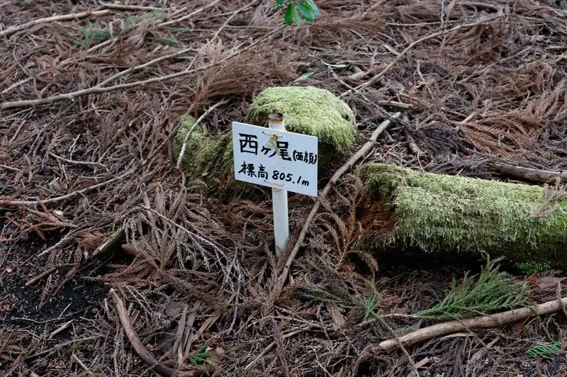 西ヶ尾です。
