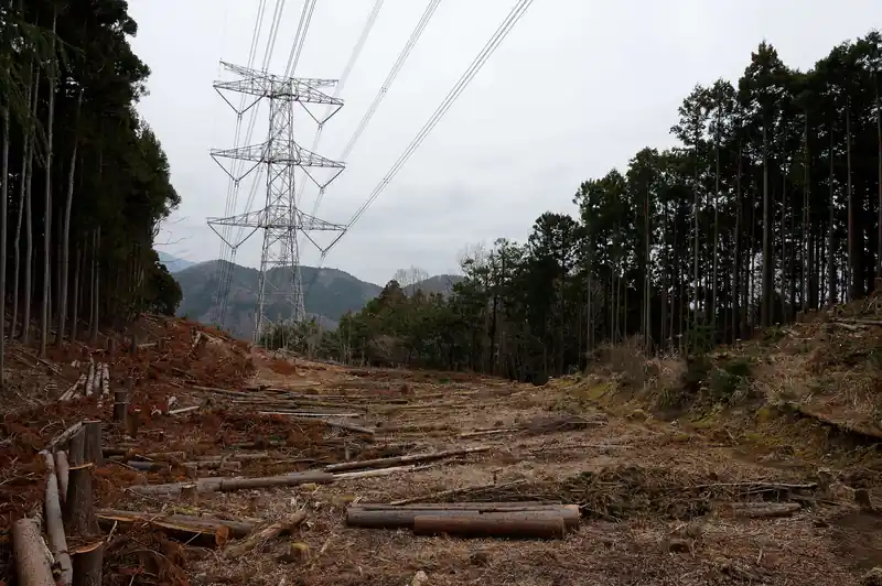 送電鉄塔の伐採地へ。
バスナビタイムによると、次のバスは14時15分です。
バス停まではここから恐らく30分もかからないでしょう。つまり1時間くらいは時間があります。
というわけで、切り株に腰掛けて、ザックに残っていたパンと「ひとくちルマンド」を食べて時間を潰します。
