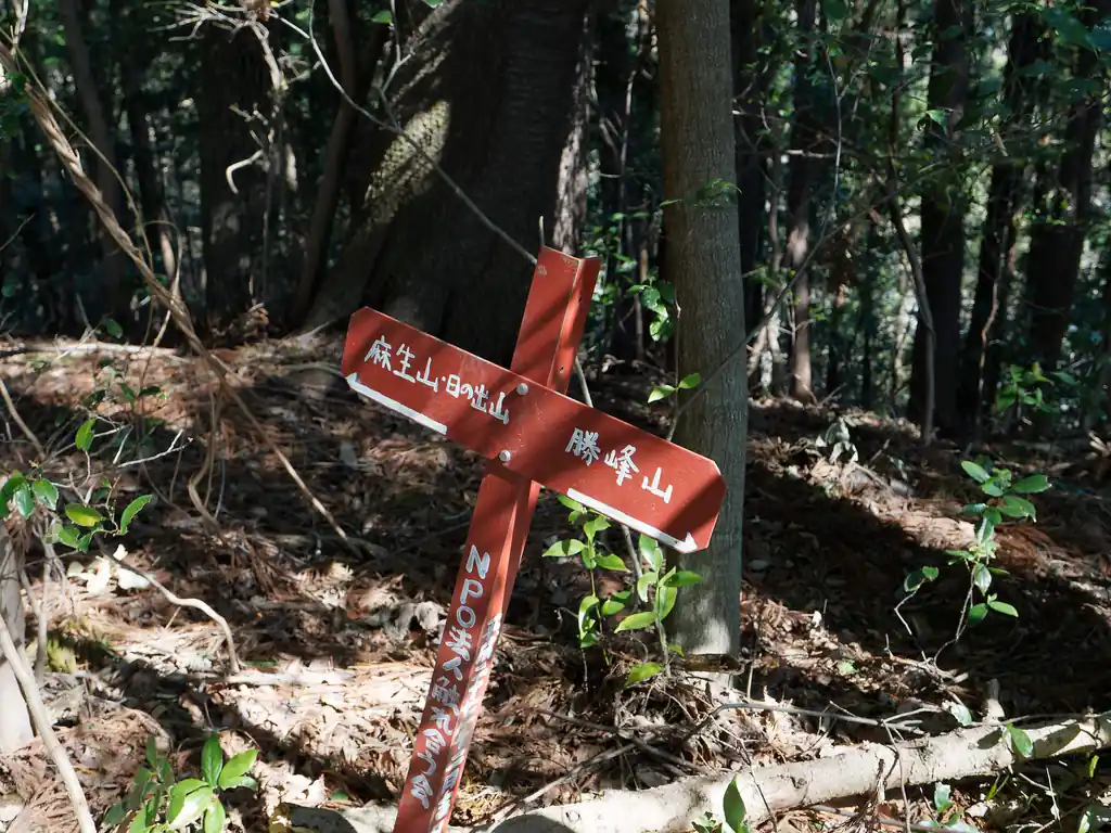 勝峰山分岐以降は指導標の数が減るのですが、微妙にわかりづらそうなところにはしっかりと指導標が。