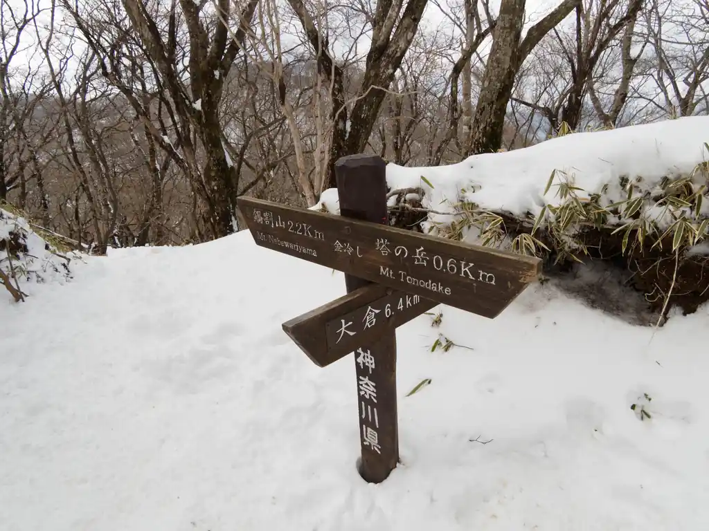 金冷やしまで戻ってきました。ここで鍋割山方面へ歩いていく人も。

とりあえず花立山荘まで行ってしまえば安心なのですが、もう少しの辛抱。