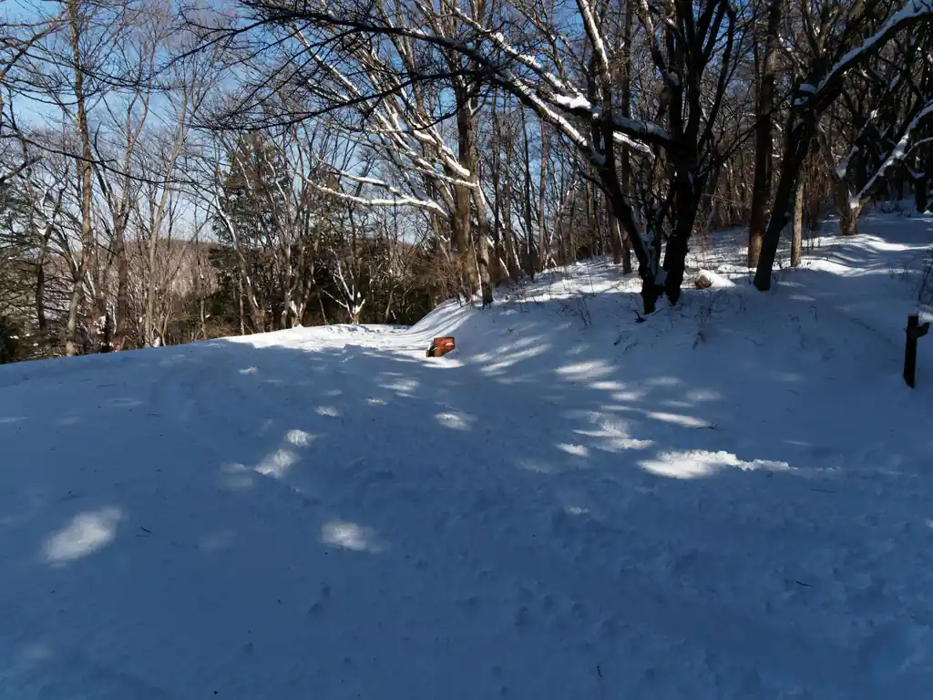 道路に出ました。雪で道路が見えないですね。これが池袋駅から在来線で90分程度で来れる場所とは。
