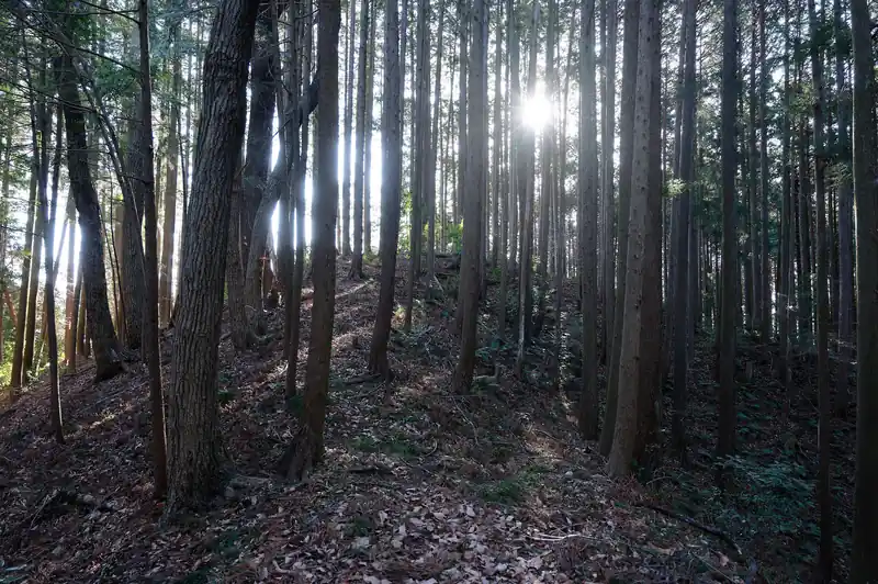 大仁田山山頂見えてきました。
この手前にもう一個ピークがあったんですが、登山道はそのピークを巻くようについていました。