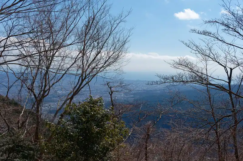樹間から相模湾が見える。
