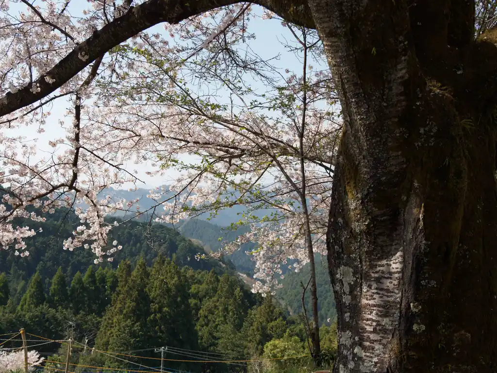 ちょうど開けたところにあるので、素晴らしく景色が良い。