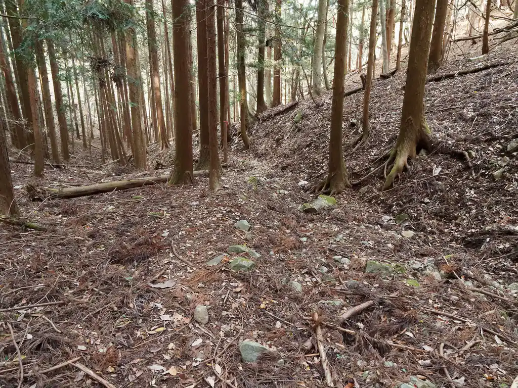 相変わらずなんだか荒れ始めているような登山道だ。まあ道はわかるけど…。
見どころがない裏山、という感じで、正直わざわざ歩きに来るところか、と言われると違うなあ、となる。
周辺には他に見晴らしのいい人気の山多いしね…。