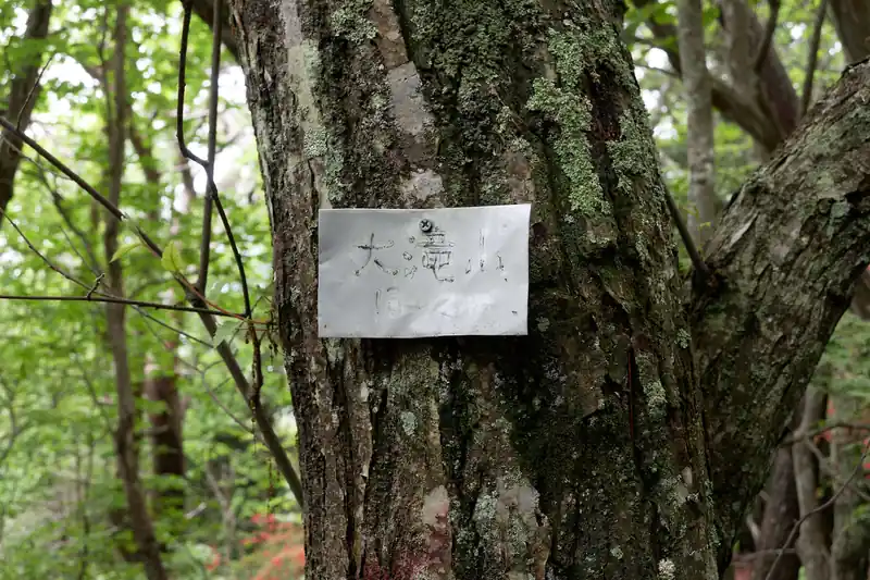 大滝山に到着。別名は宮宕山（みやごやま）のようです。