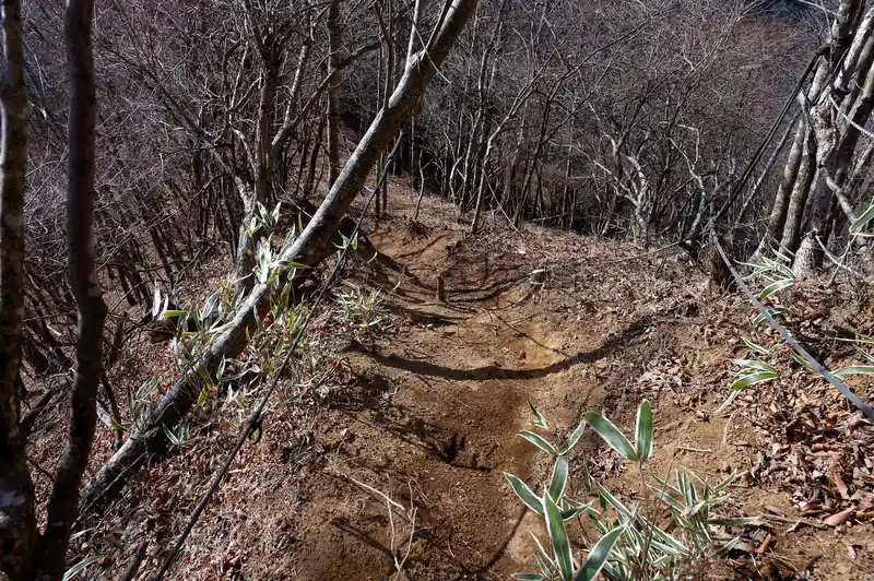 その先が崩れ気味。このためのロープの模様です。
両側急斜面なので、万が一転んで滑ってしまうと奈落へGOです。
慎重に降ります。