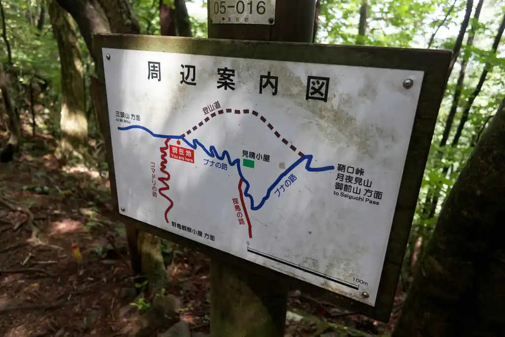 あんまり気を付けて歩かなかったので気づかなかったけど、色々道があるらしい。