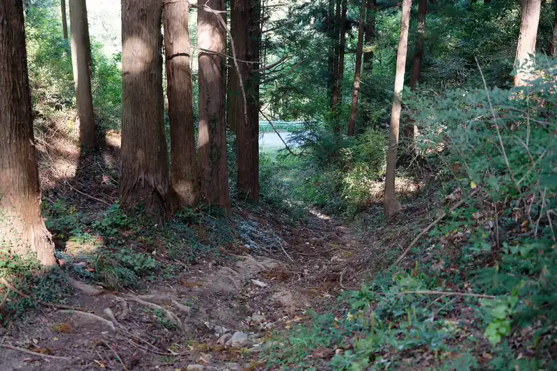 大槻峠から北に踏み跡があって、舗装路へ出ることができます。