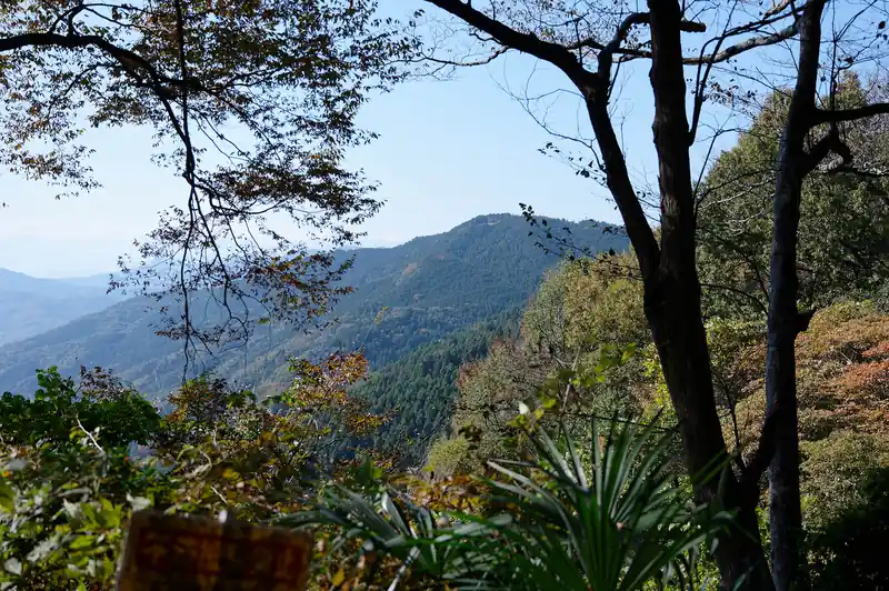 ちょうど中央あたりにある山頂に木のない山が雨乞山かな。