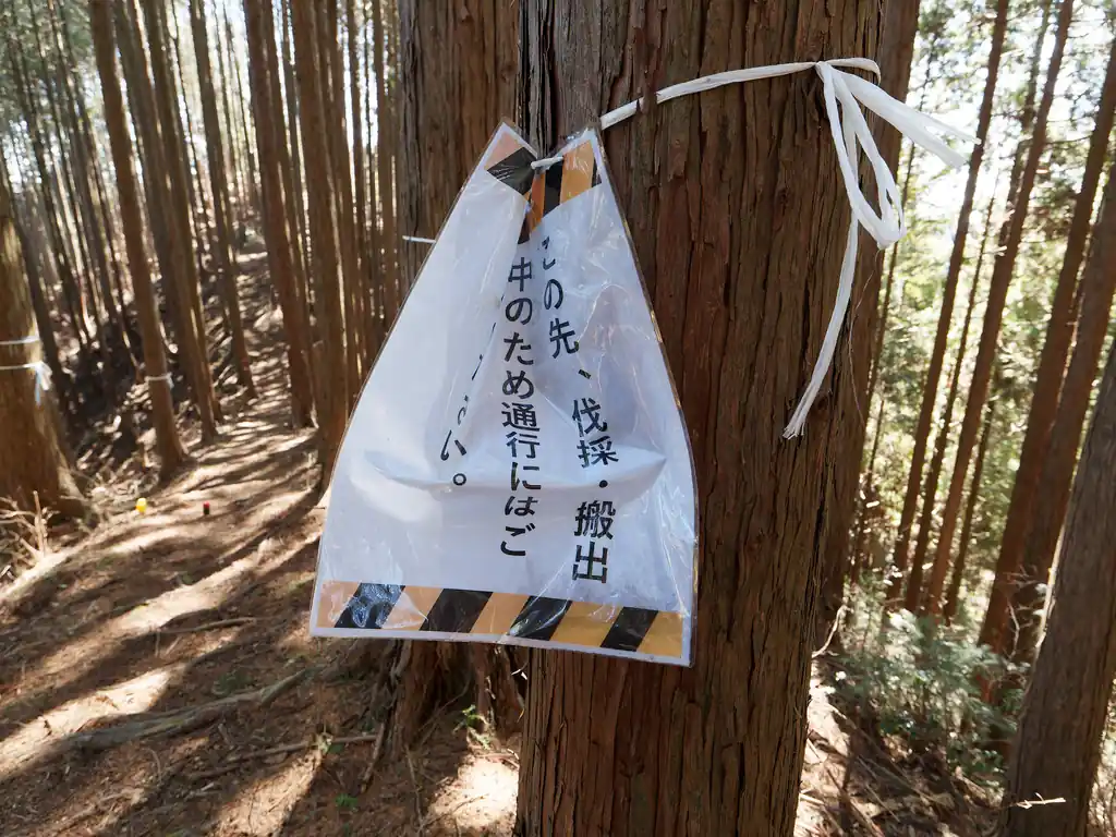 もう急坂もないだろう、と思って進んでいたのだが…