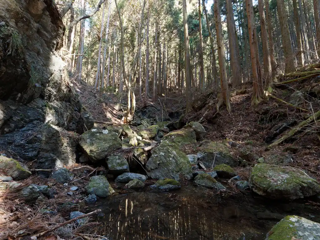 渡渉地点。2～3回渡渉するのだが、一か所枯れ沢を渡るところを除き、他2ヵ所の水量は割と豊富な方だと思う。