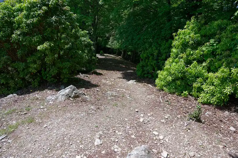 こちらは横倉山方面。