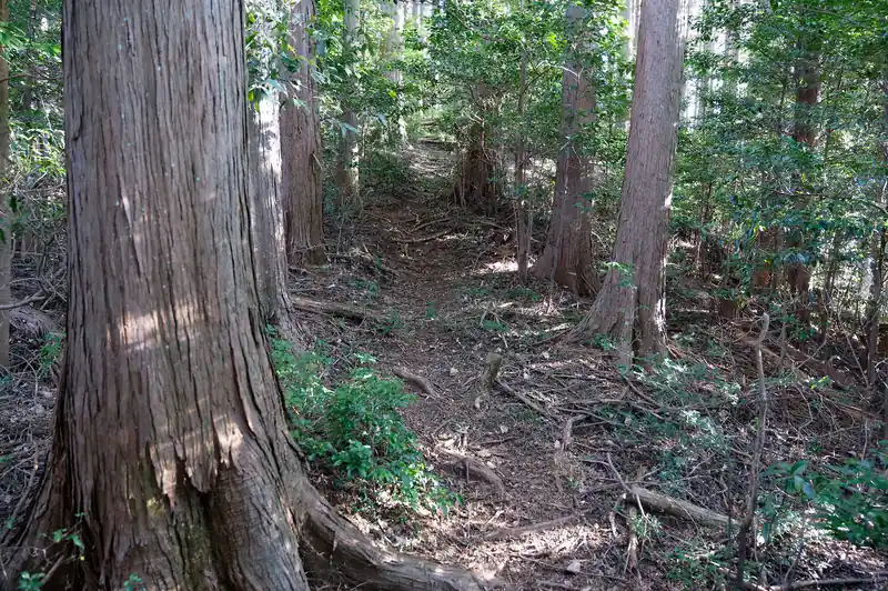 藪を突っ切って道っぽいところへ出てきた。
これで安泰かと思ったのだが…。