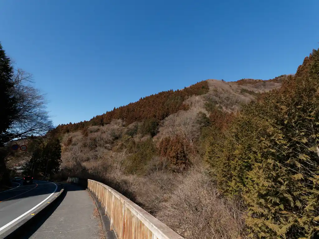 何気に、目の前の尾根も気になっている。防火帯の尾根から分岐していて、上の方は穏やかな感じがして歩けそうなんだけど、歩いた、というレポは見たことがない。