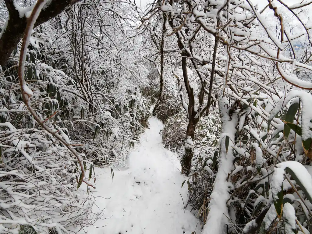 筑波高原キャンプ場に下る道は、全く人がいない。
雪もそれほど踏み固められておらず、ふかふかとしている。