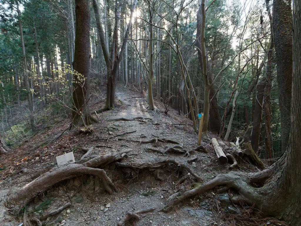 いつもはここから写真奥の道へ歩いていって、仁田山峠に下山するのだが、今回は初めて子殿バス停ルートへ降りる。