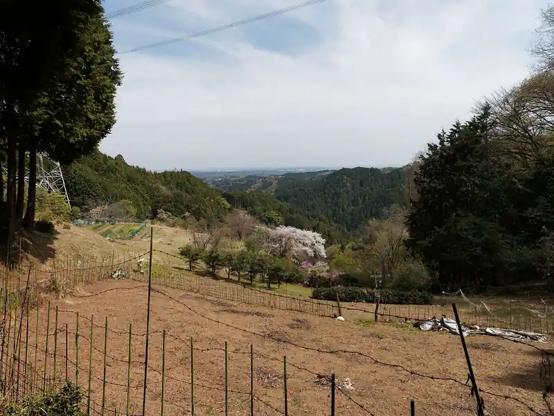 集落に出てきてしまった。