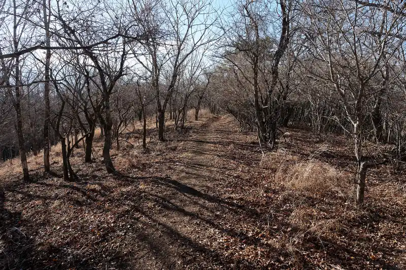 大平山を過ぎて歩いていきます。しばらくなだらかな道です。
というかもうここまで来れば公園の遊歩道みたいなもんです。