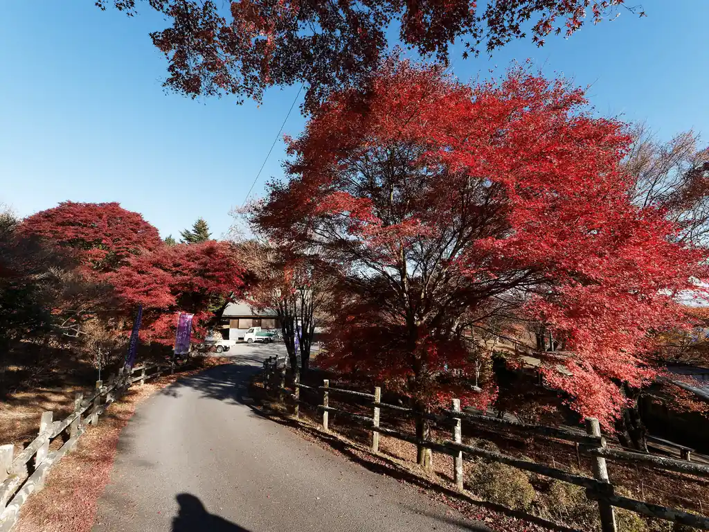 キャンプ場入り口。ここも赤く色づいた木々が美しい。