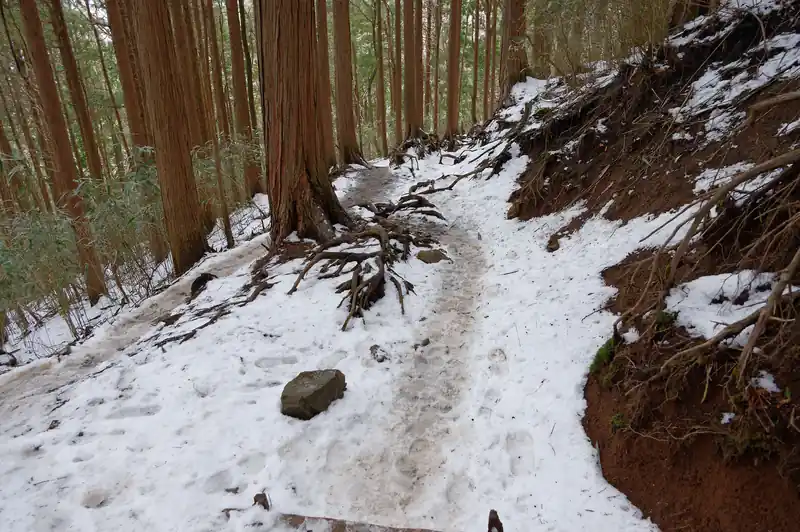 まだまだ下っていきます。登山者ごぼう抜きで下ります。