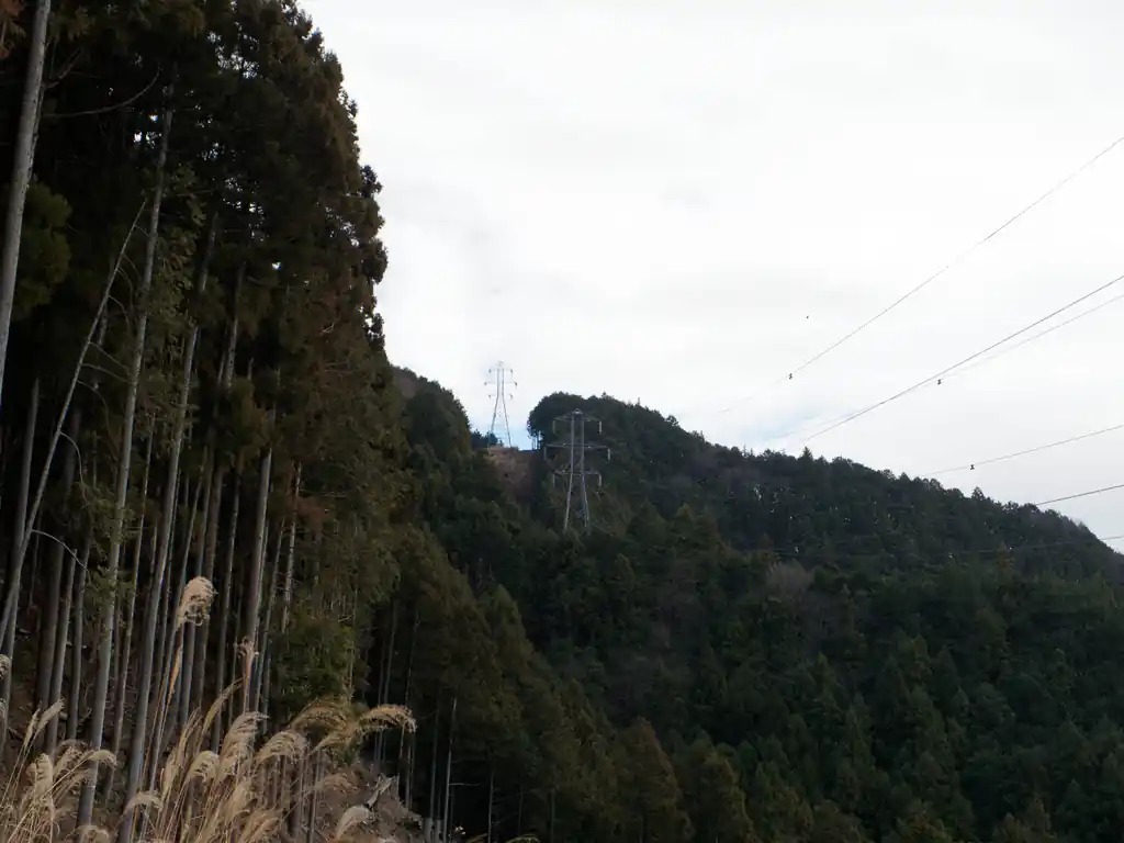 いつも仁田山峠に下山するルートを歩くときは上の送電鉄塔の場所から下を見下ろして写真を撮っていたんだけど、今日は下から。
