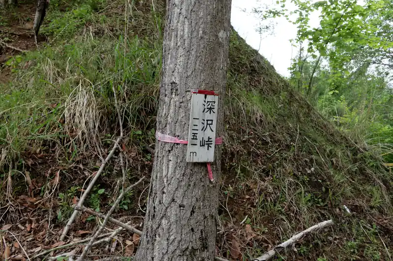 さらに歩いていって深沢峠に到着。