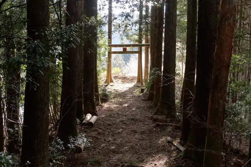 登ってすぐに鳥居。
何かあるのかな、と見に行ってみる。