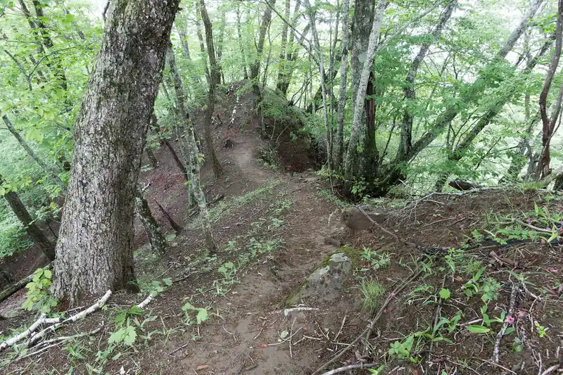 ここから源次郎岳は朗らかな日川尾根とは打って変わって、険しい雰囲気。
基本、痩せ尾根です。ロープが張ってある箇所もあるにはあるんですが、ロープなしでも全く問題ないくらいの道ではあります。