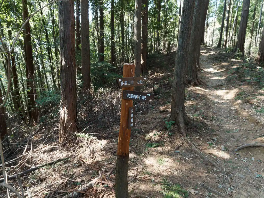 久須美峠。武蔵横手に降りれるらしい。多峯主山の指導標が見えると、だいぶゴールは近くなっていますね。