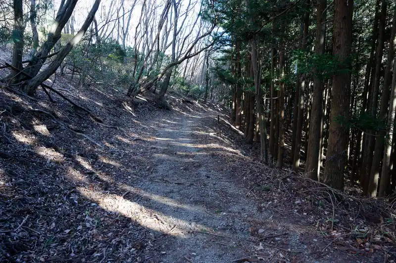 この道は未踏だったんですが、国土地理院地図で見た感じは黒実線だったので、ずっと広い道が続くのかな～なんて思っていたらその通りでした。
まあ入口からしてそんな感じだったので、それはそうなんですが。