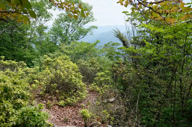 岩を超えた先にちょっとだけ景色が見えたんですが、眺めが良いんだが悪いんだか。
木が生い茂っているおかげで、高度感がそれほどなく怖さも少ないんですが…。