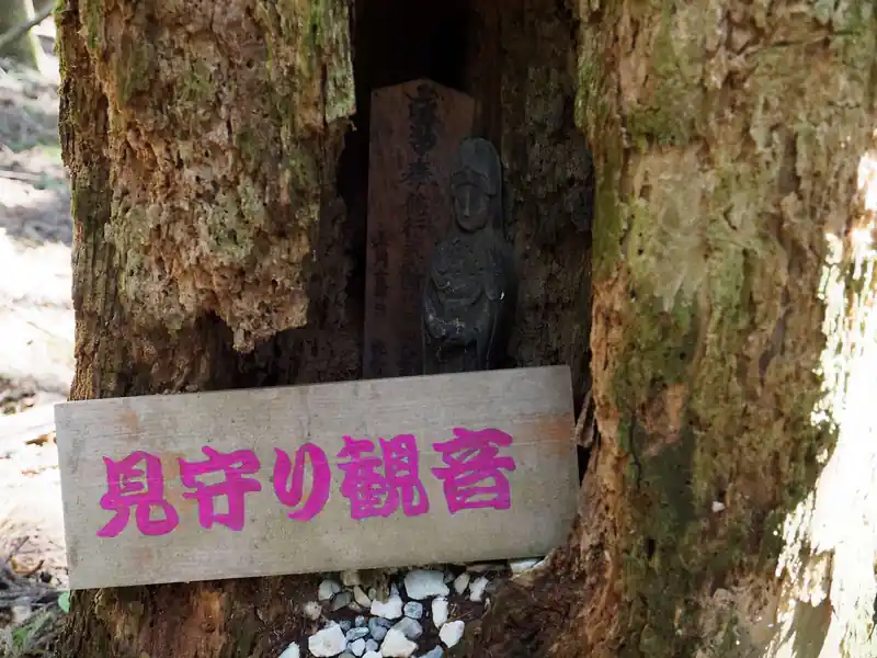 木の割れ目にこういう感じで観音様が置いてあったりする。さすが表参道だ。