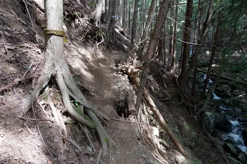ここで崩落地でしょうか。ロープが張られた数mほどの区間がありましたが、通過する分には問題なし。