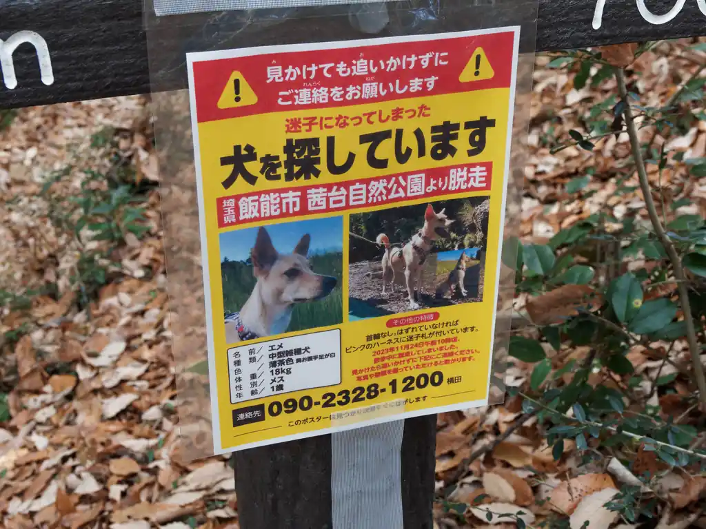 とのことです。
以前来た時もなんか貼ってあったような気がするんだが…どうだったかな。