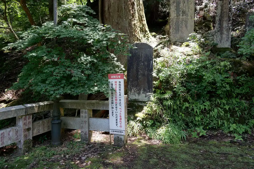 この看板の裏、歩けそうだけどな～