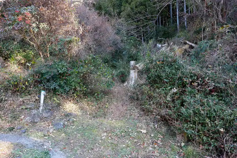 舗装路に出ると、民家へのスロープと、なんか歩けそうな感じのする藪が待っており、流石に民家方面は違うよなあ、と思って右往左往したところ、民家のスロープを歩くのが柏木尾根への正しい道でした。
