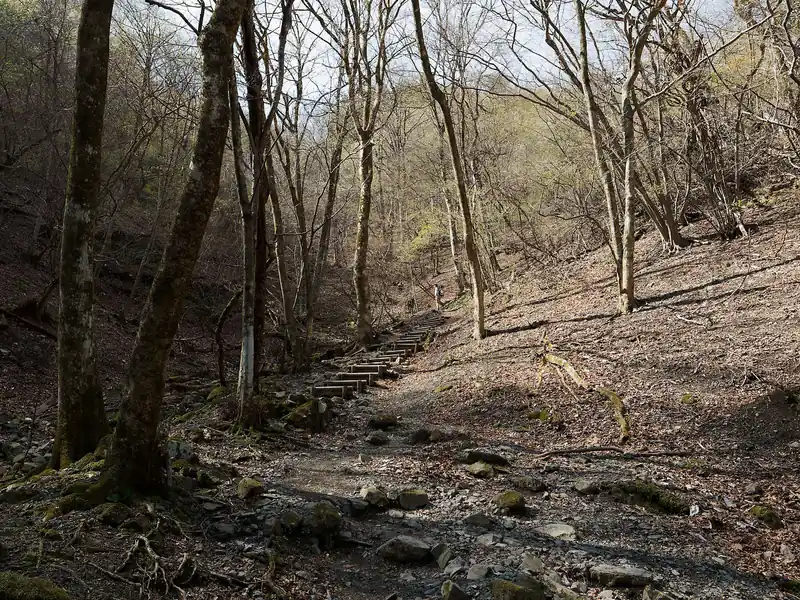 というわけで登りましょう。
この登りが地味につらいところ。