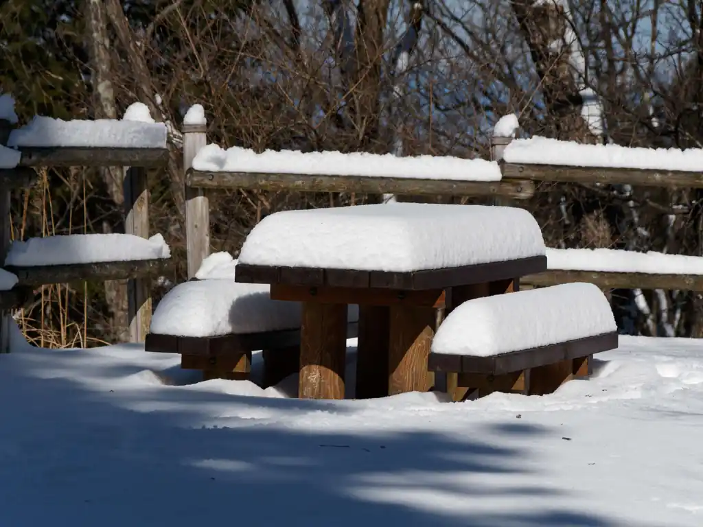 雪がかまぼこみたいに積もっている。