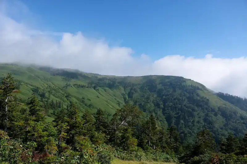 眼の前が開け、ようやく山頂付近まで登ってきた。
このあたりにまたベンチがある。