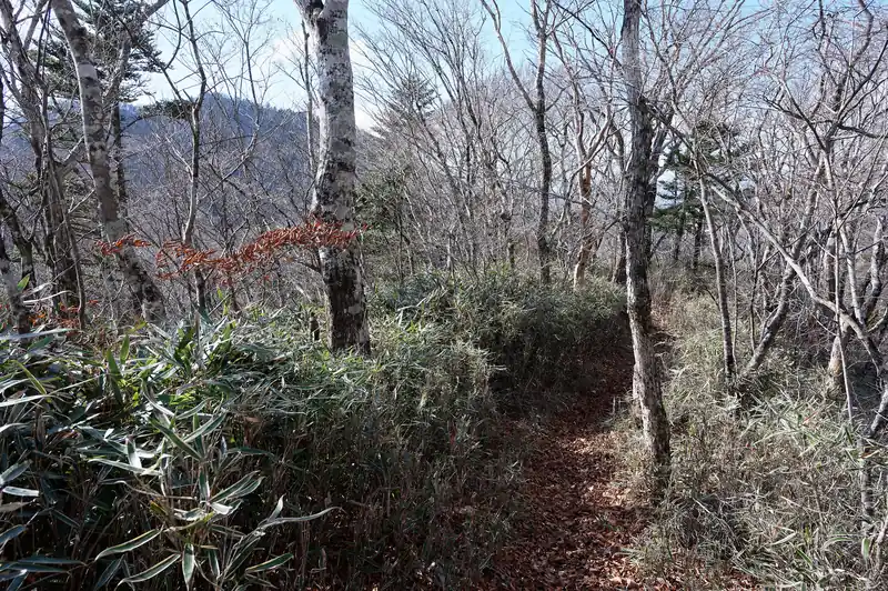 尾根道を歩いていきます。