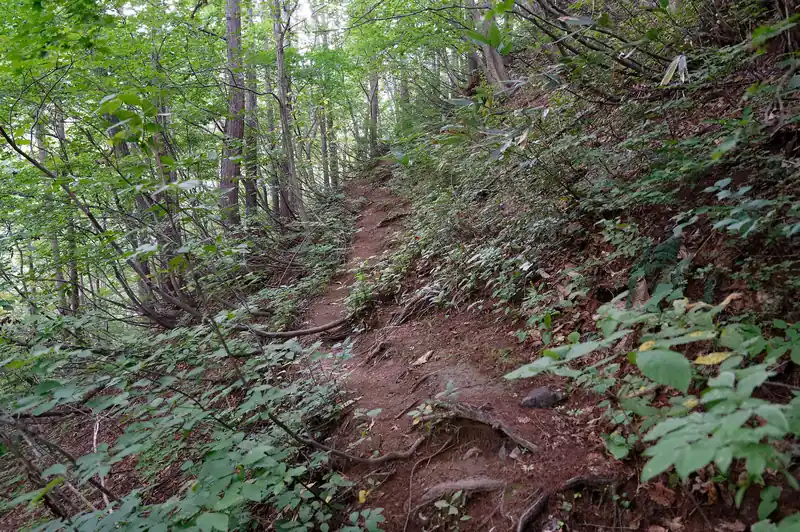 近道の山道は難所はないが、道が全体的に細く、すれ違いはしたくないなあ、という感じ。
歩く分には難所もなく問題なし。