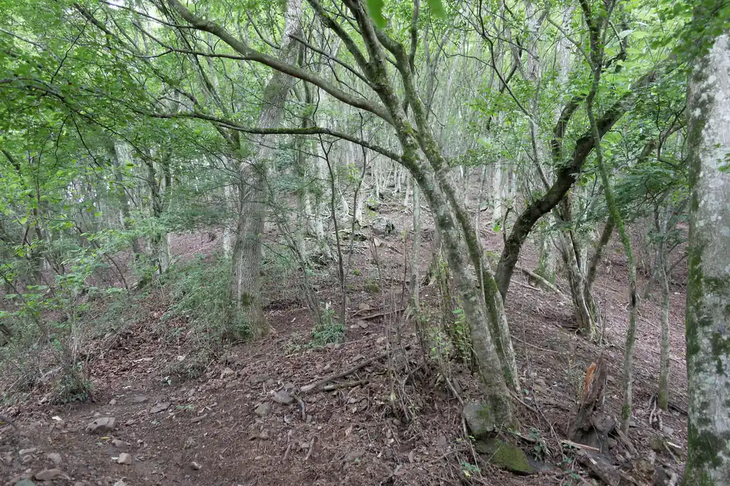 メチャクチャわかりづらいですが、これが雌岳山頂手前の急坂です。しばらく登っていくとロープが張り巡らされているので、それを頼りになんとか登っていく感じ。