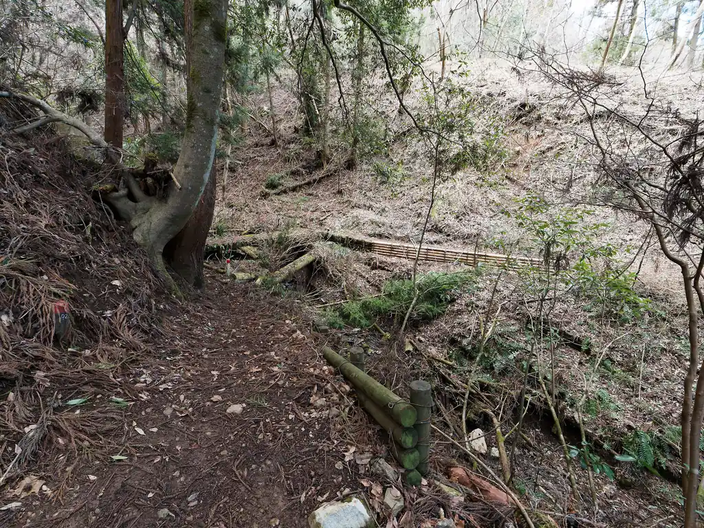 ここで地図にない分岐。
真っ直ぐ進んでも歩けそうだが、てっとり早いのは沢沿いに下ることのような気がしたので、そうしてみる。